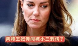凯特舅舅爆料视频大全,揭秘王室幕后故事