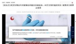 墨西哥病毒爆料视频大全,爆料视频大全深度解析